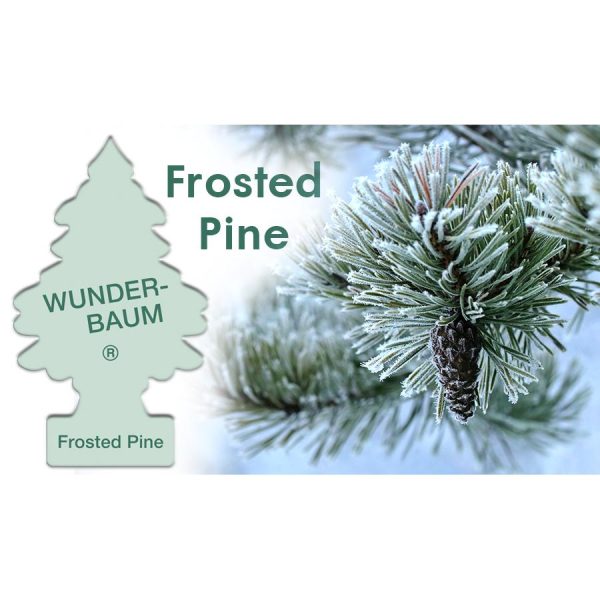 Odorizant Auto Wunder-Baum?, Frosted Pine